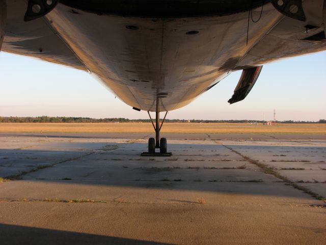 McDonnell Douglas DC-10 (NWA) - Under a DC-10 at a boneyard.