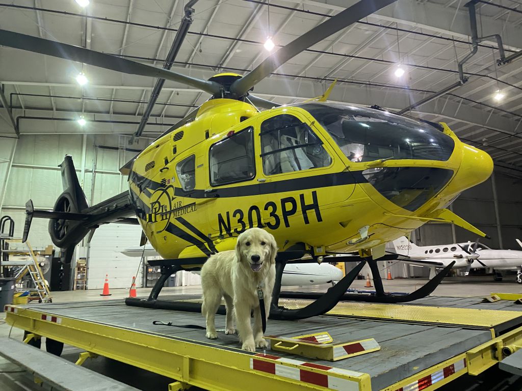 Eurocopter EC-635 (N303PH) - Teddie doing a final walk around before setting out to the days tasks. 