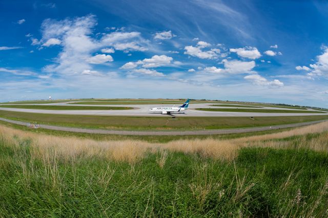 BOEING 737-600 (C-GWSO)