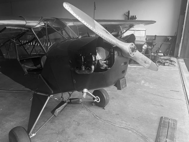Piper NE Cub (N51500)