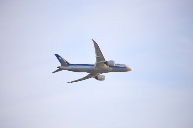 Boeing 787-8 (JA822A)