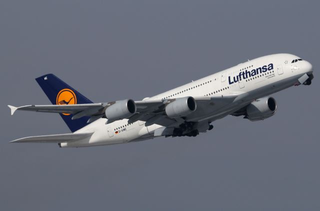 Airbus A380-800 (D-AIME)