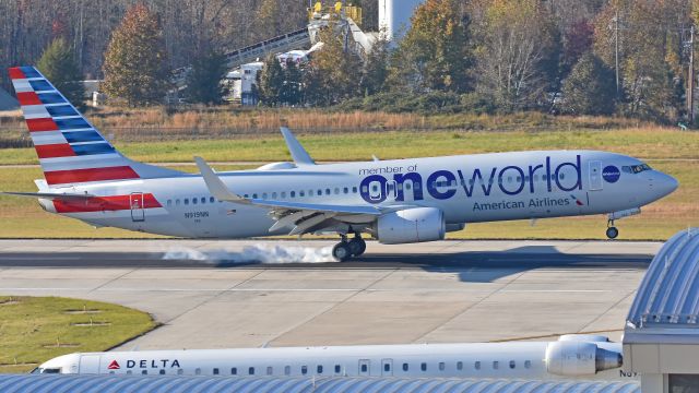 Boeing 737-800 (N919NN) - American Airlines Boeing 737-800 (N919NN) "One World" from KORD arrives at KRDU Rwy 5L on 11/18/2018 at 3:18 pm.