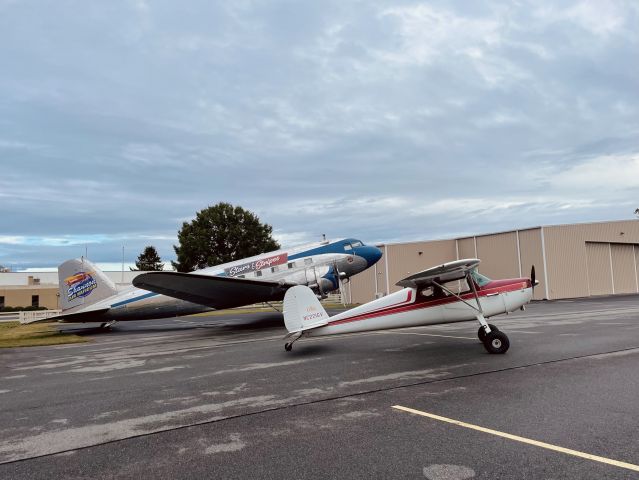 Cessna 140 (N2216V)