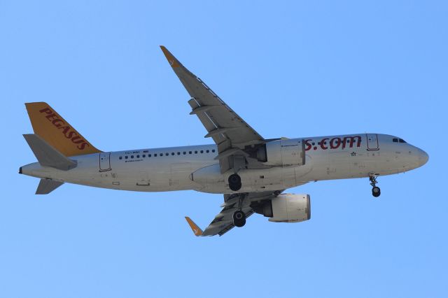 Airbus A320neo (TC-NBI)