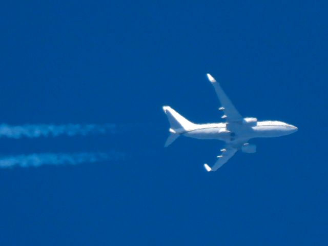 16-5830 — - CNV4950br /PHX-br /11/24/2024