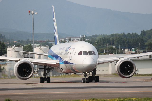 Boeing 787-8 (JA804A) - July 14, 2024:HKD-HND.