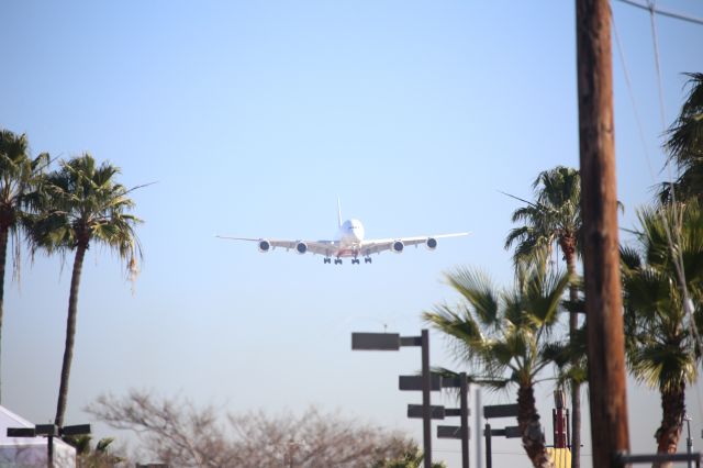 Airbus A380-800 (A6-EVL)