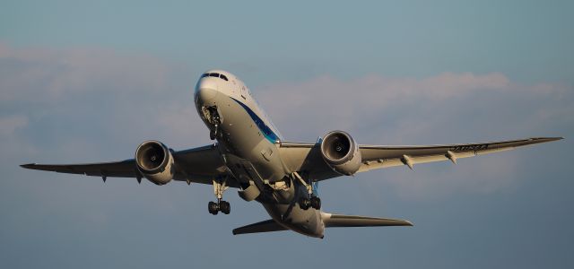Boeing 787-8 (JA834A)