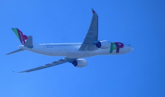 Airbus A330-900 (CS-TUH) - Upwind of the airport is this brand new TAP-Air Portugal Airbus A330-841 in the Summer of 2019.