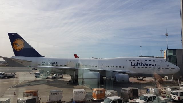 Boeing 747-400 (D-AVBU) - In transit at Fraport