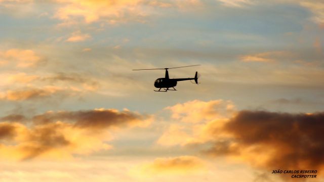 Robinson R-44 (PP-AAE)