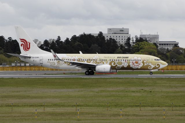 Boeing 737-800 (B-5390) - Departure at NRT Airport R/W16R on 2012/04/30 Gold Tree Peony c/s