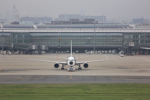 BOEING 767-300 (JA606A)