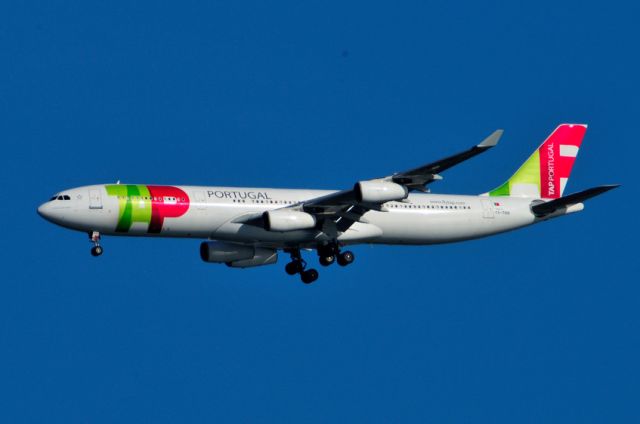 Airbus A340-300 (CS-TOD) - 2008 - Gear Down for Landing