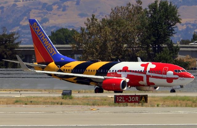 Boeing 737-700 (N214WN)