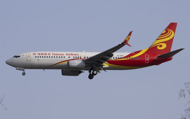Boeing 737-800 (B-1997)