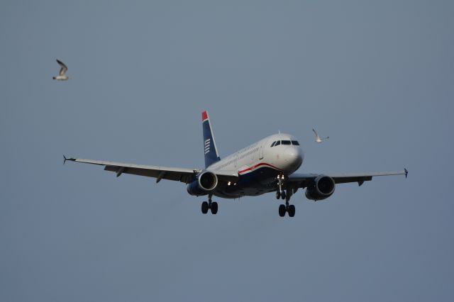 Airbus A319 (N807AW)