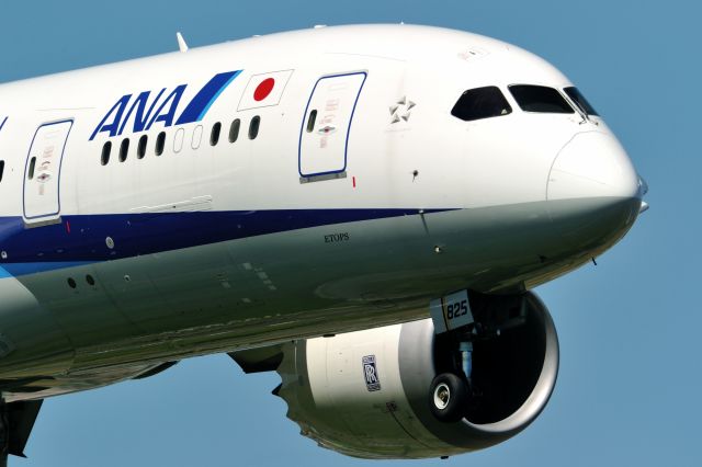 Boeing 787-8 (JA825A)