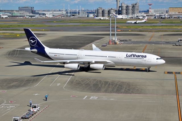 Airbus A340-300 (D-AIGY)