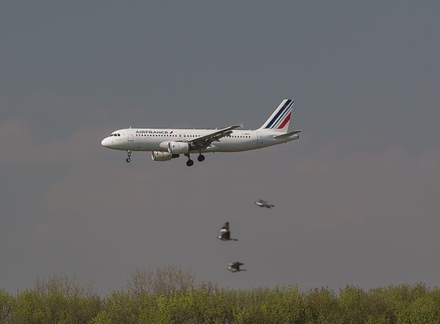 Airbus A320 (F-HEPC) - formation flying !!!