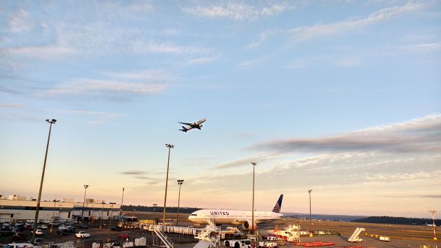 Boeing 777-200 (N850FD) - July 9th approx. 6 am,  I took 7 pictures in a row. I cant explain why the halo around the plane.