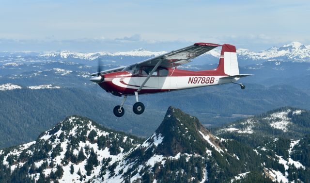 Cessna Skywagon 180 (N9788B)