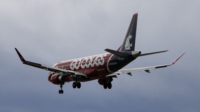 Embraer 175 (N661QX) - Alaska Airlines E175 in the Go Cougs special livery on approach into PANC.