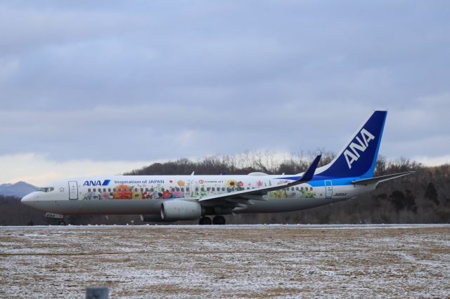 Boeing 737-800 (JA85AN) - January 11th 2020:HKD-HND.