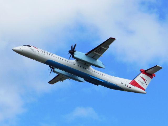 de Havilland Dash 8-400 (OE-LGC) - Austrian Airlines (OS) OE-LGC DHC-8-402 [cn4026]br /Birmingham (BHX). Leased to sister Lufthansa Group airline Brussels Airlines (SN) this Austrian liveried aircraft is departing for Brussels (BRU) as flight SN2046. This aircraft was returned to the Austrian fleet in May 2015.br /Taken from a tree beside the perimeter fence on Hatch Brook Golf Course, Sheldonbr /2013 08 18  a rel=nofollow href=http://alphayankee.smugmug.com/Airlines-and-Airliners-Portfolio/Airlines/EuropeanAirlineshttps://alphayankee.smugmug.com/Airlines-and-Airliners-Portfolio/Airlines/EuropeanAirlines/a