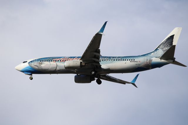 Boeing 737-800 (N559AS)