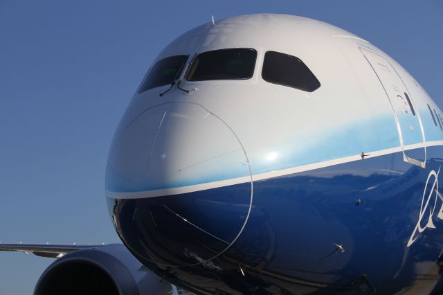 Boeing 787-8 (N787BX)