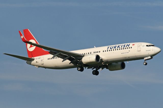 Boeing 737-800 (TC-JGD)