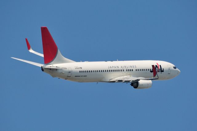 Boeing 737-800 (JA310J) - 2013/5/5