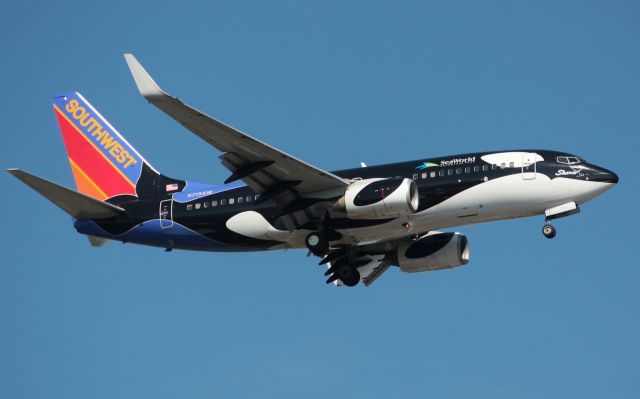 Boeing 737-700 (N715SW) - Shamu on short final at Nashville this morning. 06/07/12