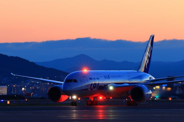 Boeing 787-8 (JA821A) - hakodate airport hokkaido japan