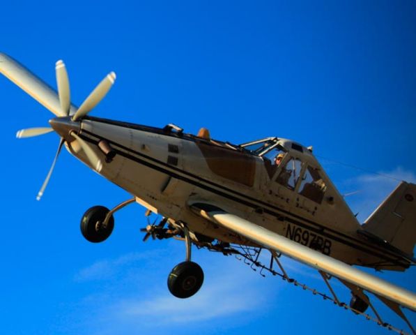 N697PB — - I was standing under flight path while crops being sprayed.