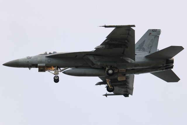 McDonnell Douglas FA-18 Hornet —