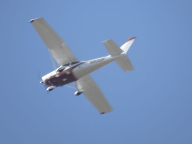 Cessna Skylane (N800P)