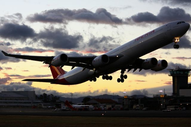 Airbus A340-600 (EC-LFS)