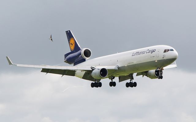 Boeing MD-11 (D-ALCD) - lufthansa cargo md-11f d-alcd about to land at shannon from frankfurt on a horse charter flight 8/8/17.