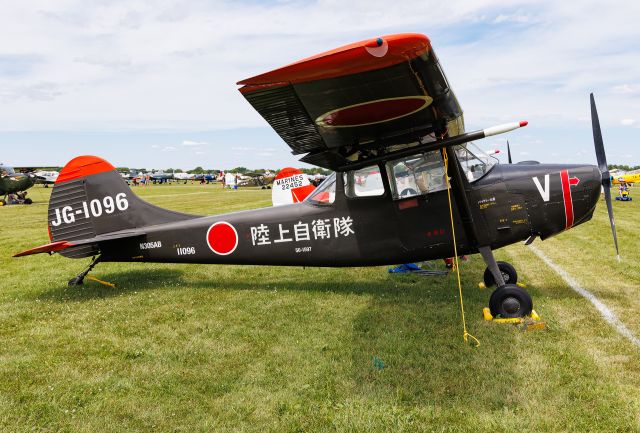 Cessna L-19 Bird Dog (N305AB)