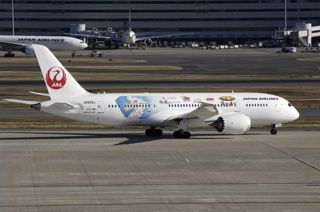 Boeing 787-8 (JA828J) - Taxing at Haneda Intl Airport on 2012/12/12 "Special Jiburi c/s"