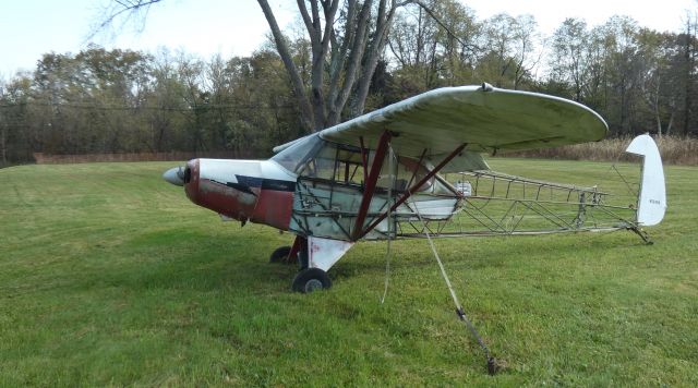 Piper L-18B Cub Special (N5049H) - This fixer-upper keeping the tree company is a 1949 Piper PA-11-90 Cub Special in the Autumn of 2023. Original intact view can be seen at Google Images.