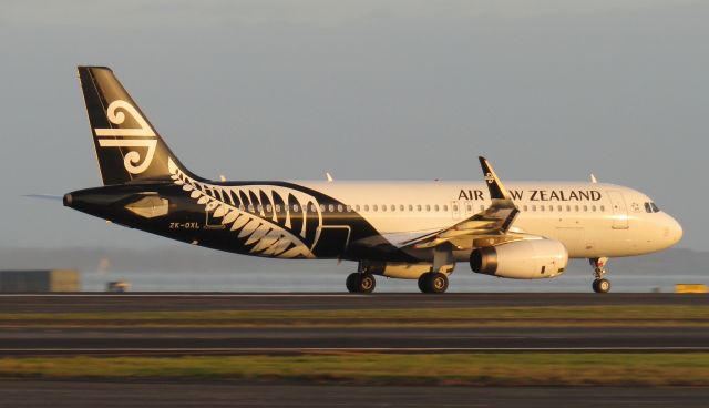 Airbus A320 (ZK-OXL) - Departing Auckland in winter of 2019.