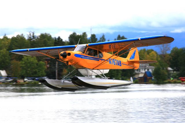 Piper L-21 Super Cub (N767AB)