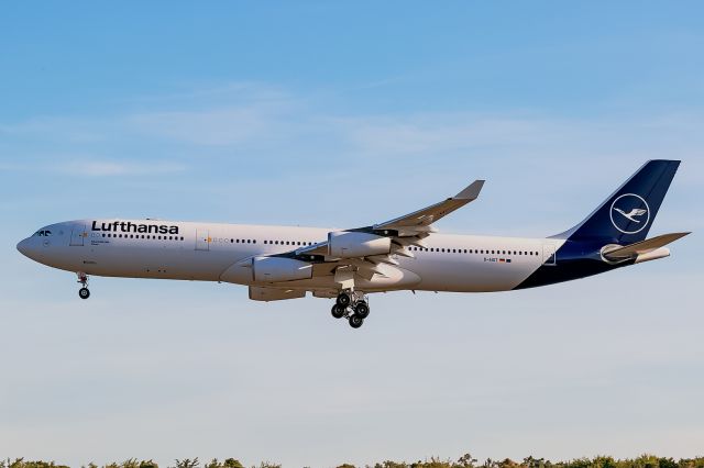 Airbus A340-300 (D-AIGT) - new color