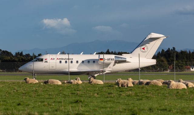 Canadair Challenger (D-AFAB)