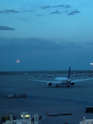 Boeing 787-8 (N27903) - Taken from the United Club at Denver International Airport. Harvest Moon rising