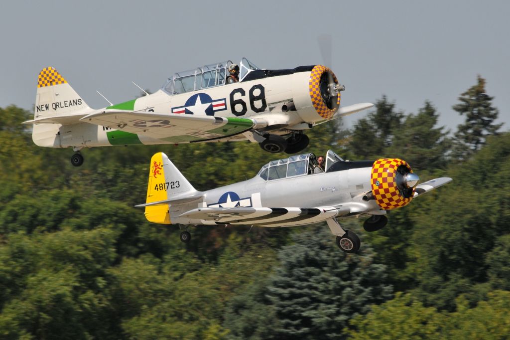 Grumman AA-5 Tiger (N4983N) - Wings Over Waukesha Air Show 2013